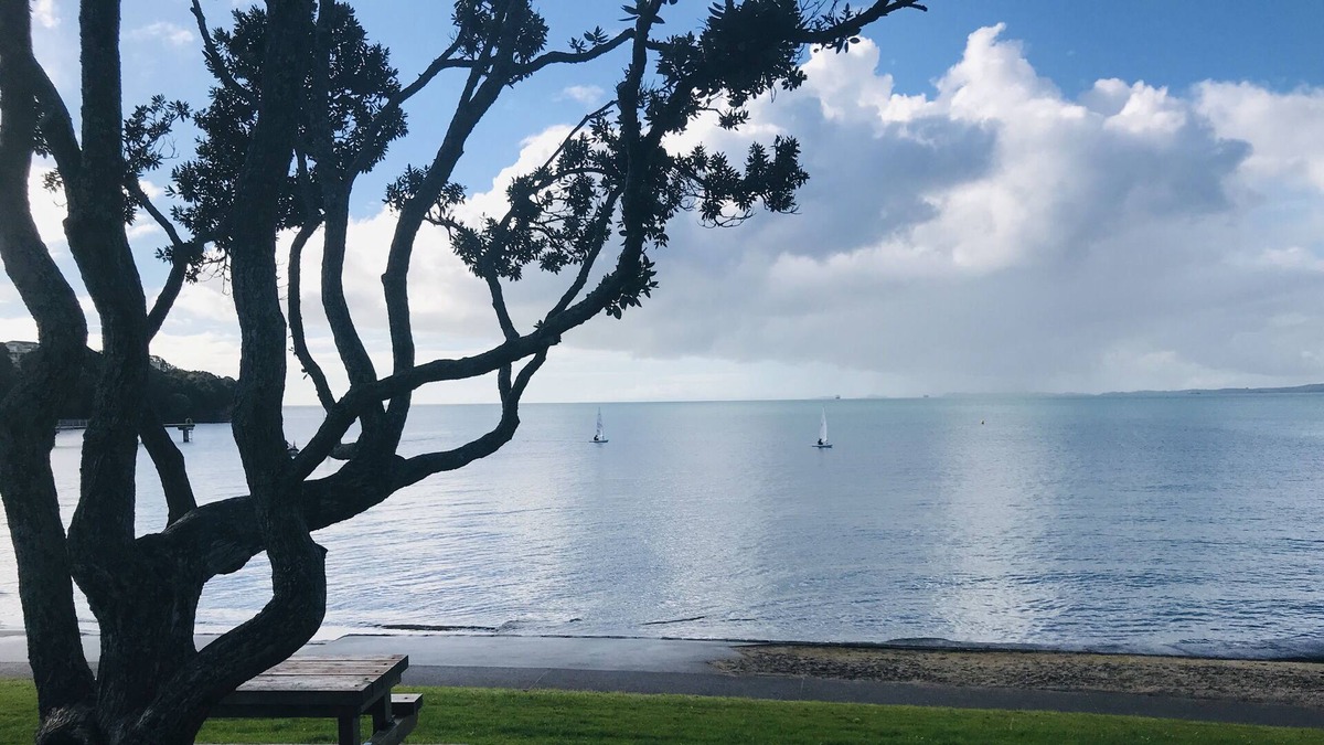 Mairangi Bay House | Beach Lodge with sea view