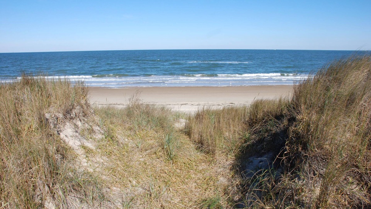 Cottage Line Cottage | Beach Lovers Delight 3 Bedroom Cottage by RedAwning