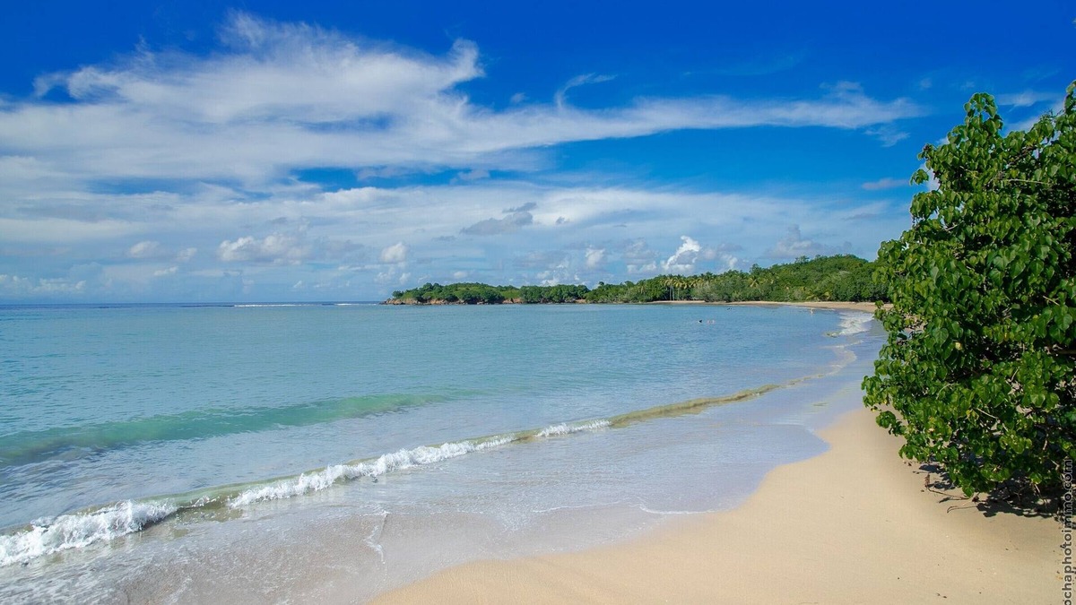Tartane Apartment | Beach View Appart :Luxury 2-bedroom apartment on Tartane beach