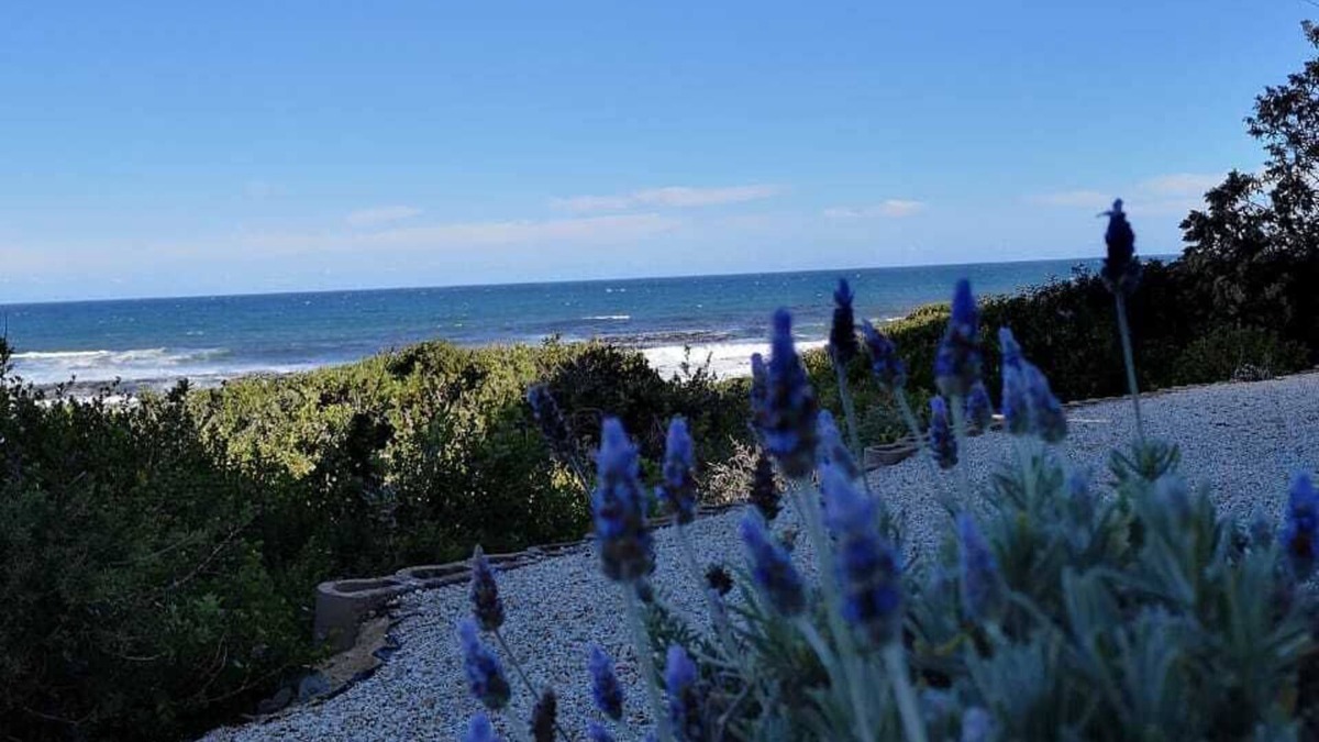 Vermont Apartment | Beach Villa Apartment
