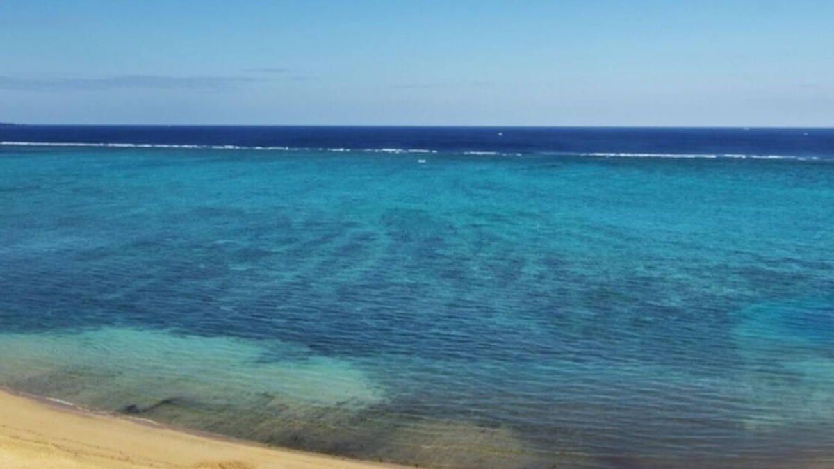 Maeganeku Apartment | Beach walk by 2min FREE PARKING 4 people - Prince Plage Okinawa 903 /Kunigami-gun Okinawa
