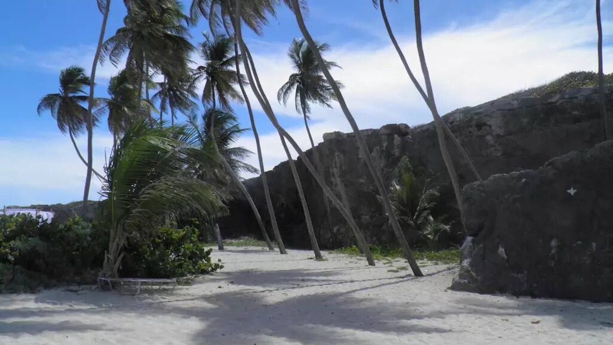 Apple Hall Villa | Beachcliff Bottom Bay Barbados