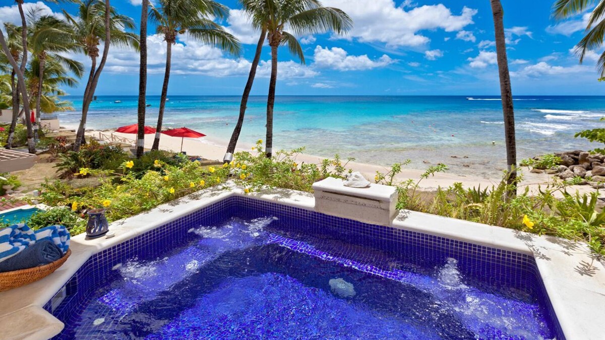 Reeds Bay Apartment | Beachfront 1-Bed with Plunge Pool - Reeds House 10