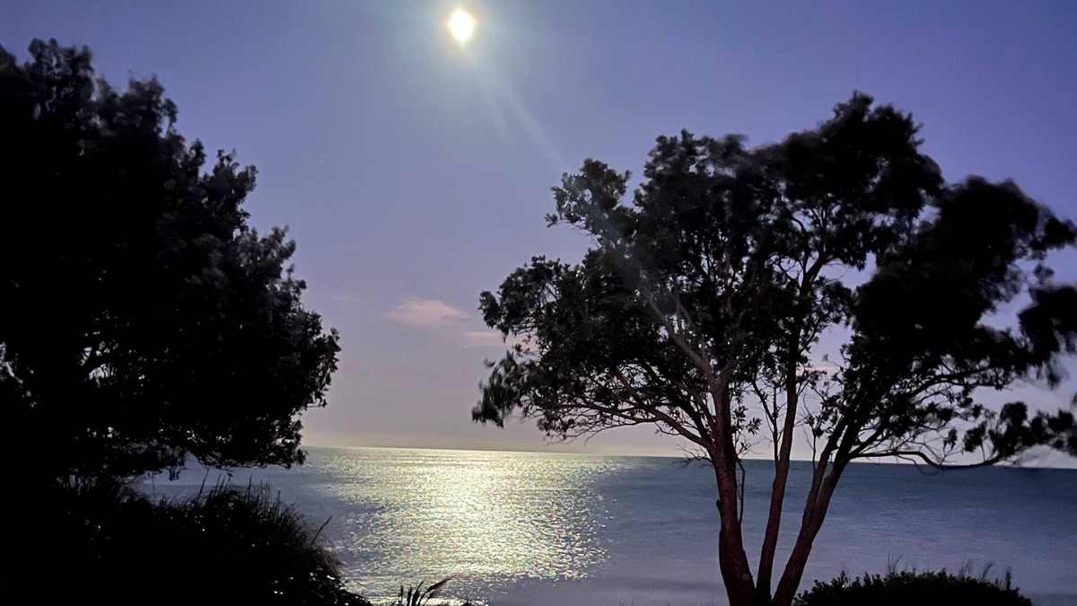 Parapara House | Beachfront Bliss - an absolute beachfront stunner!