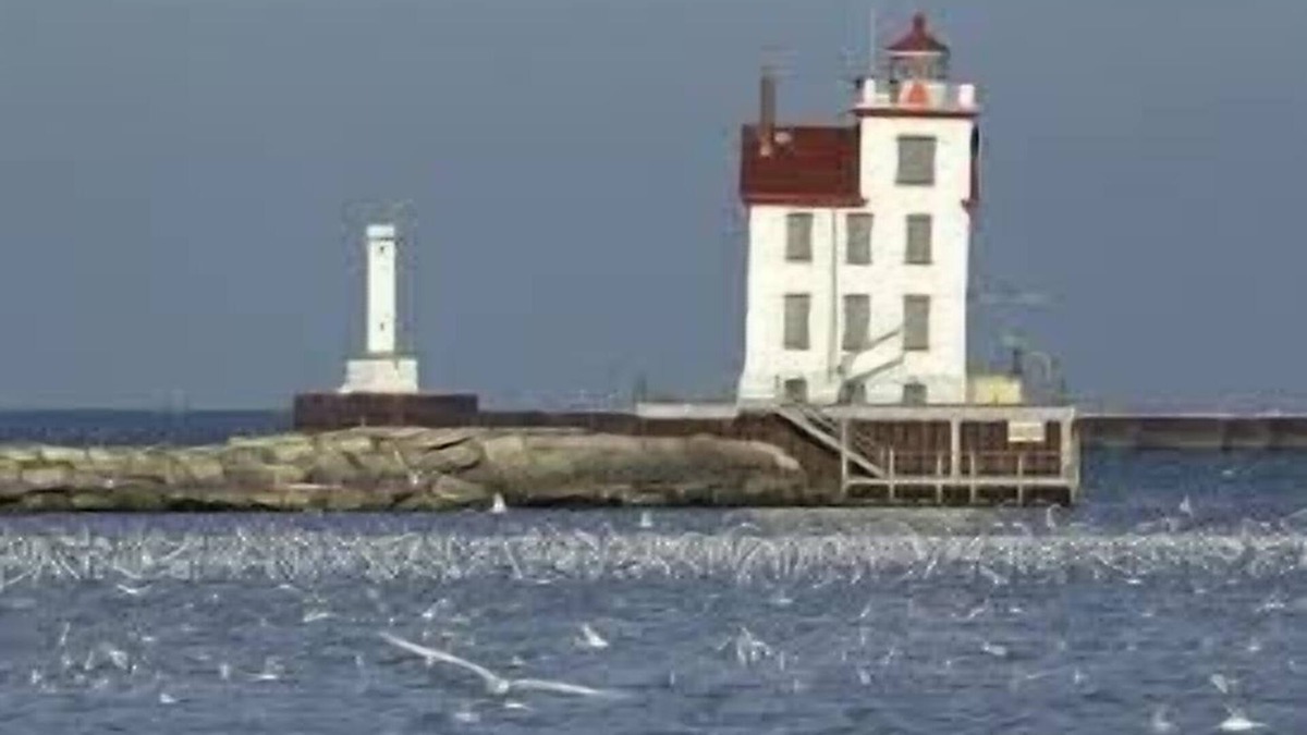 Lorain House | Beachfront Century Home Boasts A Million Dollar View