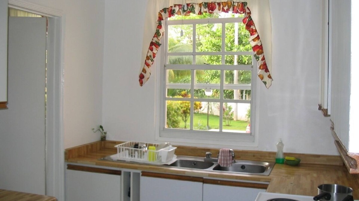 Ocho Rios Condo | Beachfront Condo with Great Views