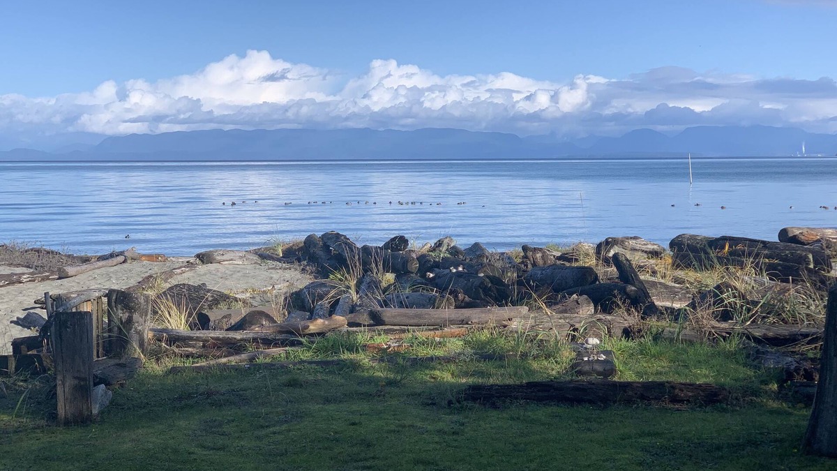 Comox Cabin | Beachfront cottage right on Kye Bay, Comoxn