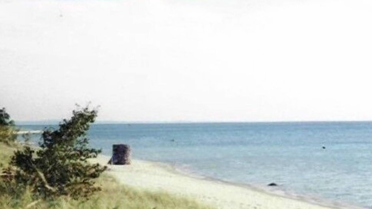 Harbor Springs House | Beachfront Cottage on 190 ' of Lake Michigan in Good Hart