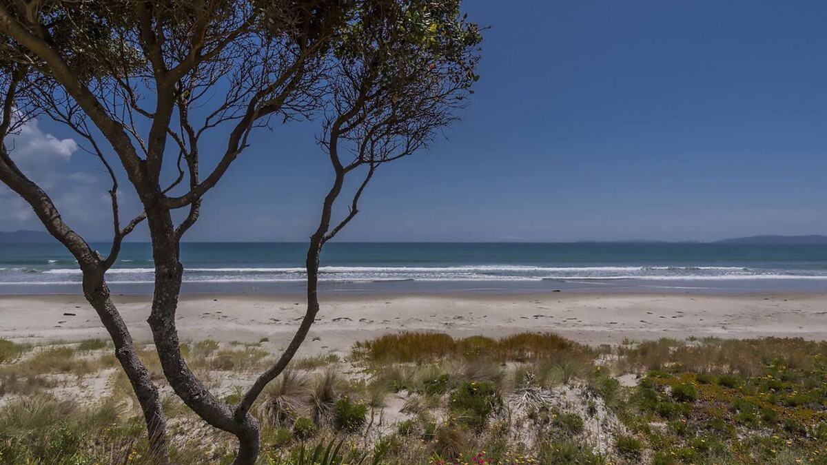 Matarangi Cottage | Beachfront Hideaway - Matarangi Holiday Home
