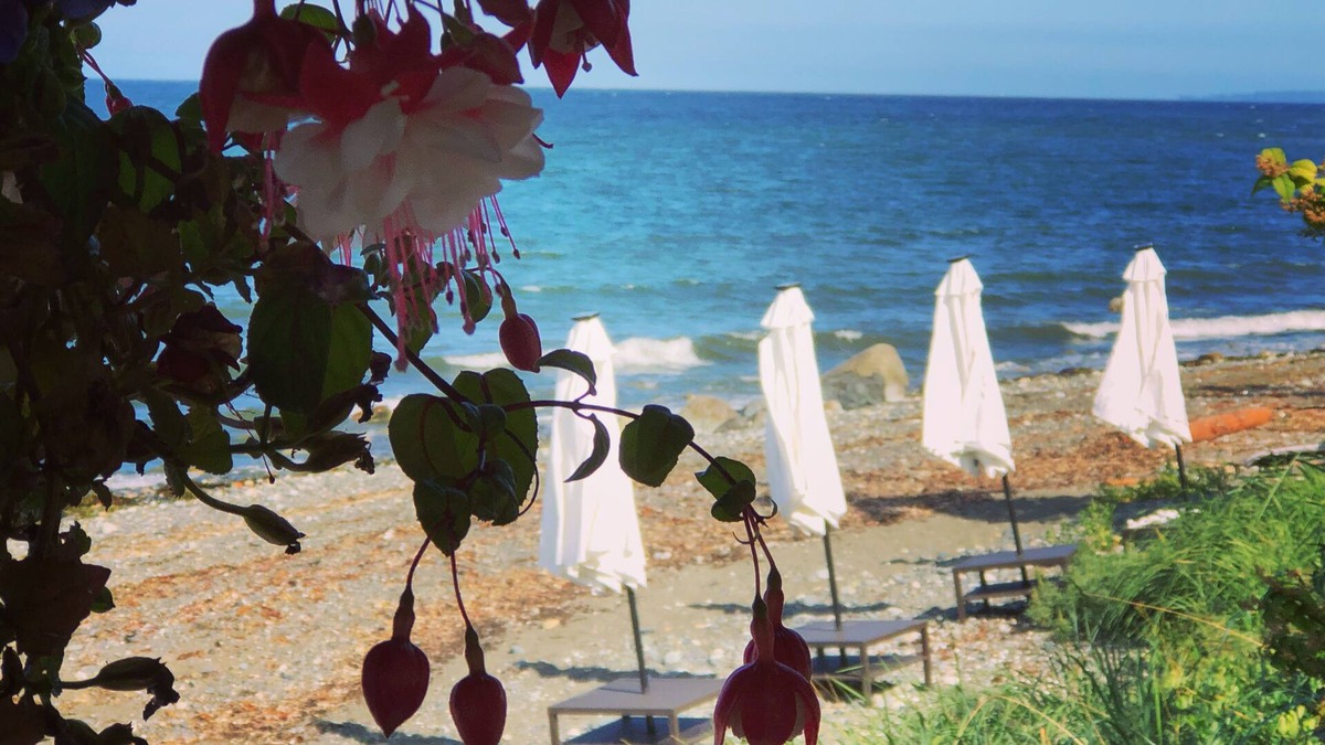 Regional District of Nanaimo Resort | Beachfront Honeymoon suite jacuzzi, fireplace, Bbq, Hot tub,oyster/clams,kayaks