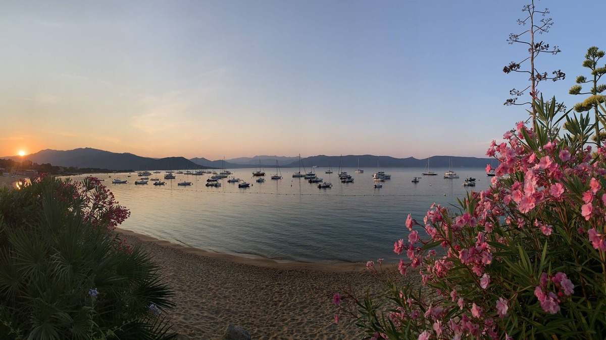 Porto Pollo House | Beachfront house in Porto Pollo with private access to the beach