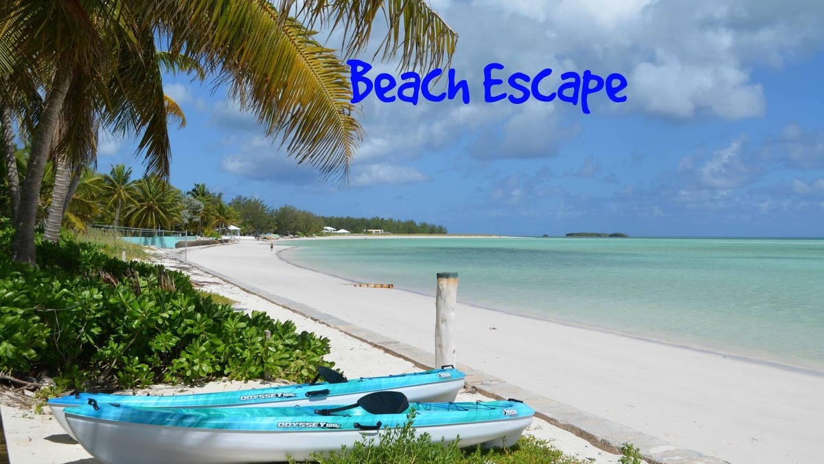 Spanish Wells Apartment | Beachfront one bedroom studio with full kitchen, covered porch and open deck.