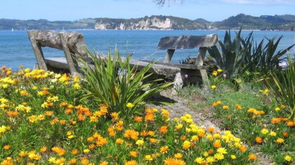 Whitianga Apartment | Beachfront Resort