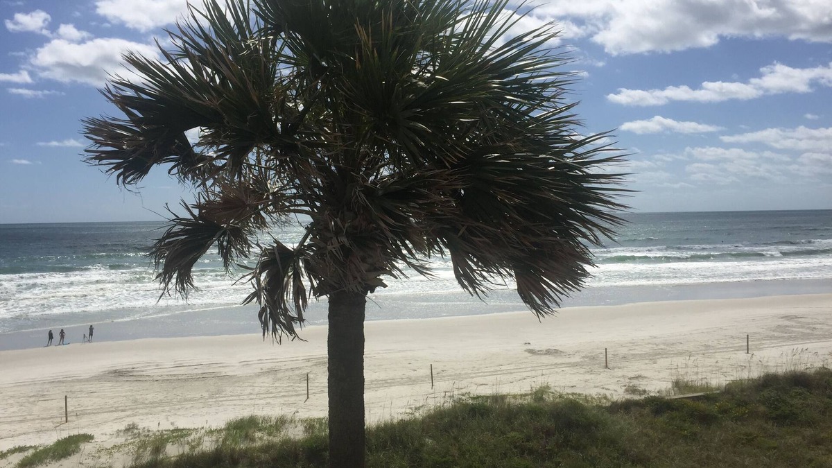 Daytona Beach Shores Condo | Beachfront. Sept. Just opened due to cancellation.nn