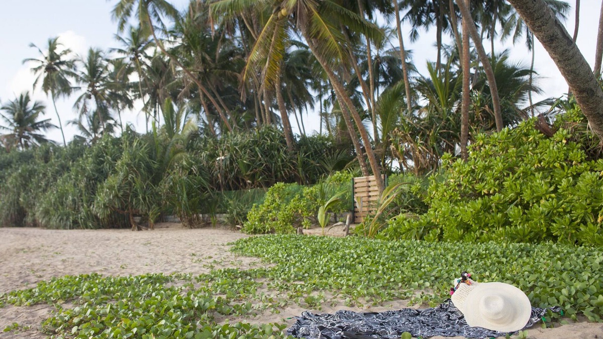 Maggona Villa | Beachfront villa with pool and full staff
