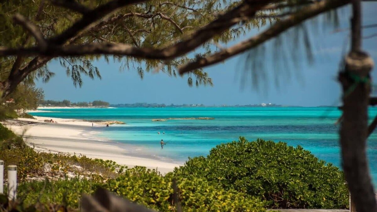 Rokers Point House | Beachfront White Palm Villa - Tar Bay