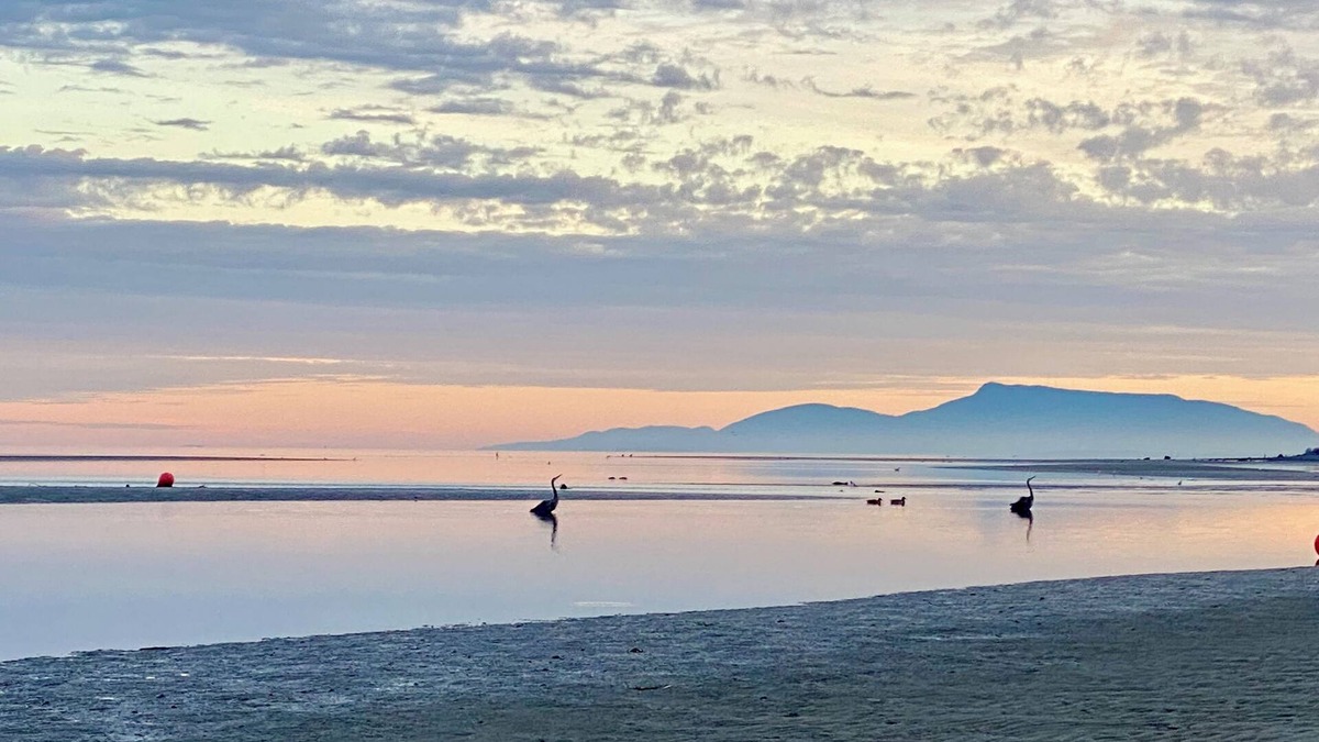 Boundary Bay House | Beachside Living. Steps from the BEACH! Pet's friendly
