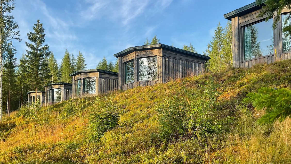 Kehys-Kainuu Apartment | Bear Centre