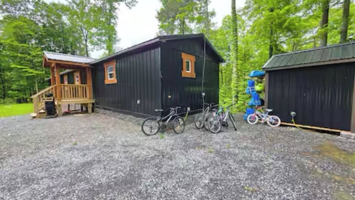 Ovid Cabin | Bear creek cabin, peaceful escape