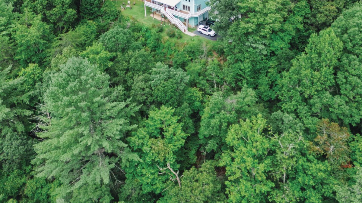 Rabun Gap Cabin | Bear Creek-Mountain views, decks that surround, and 3 creeks to discover!
