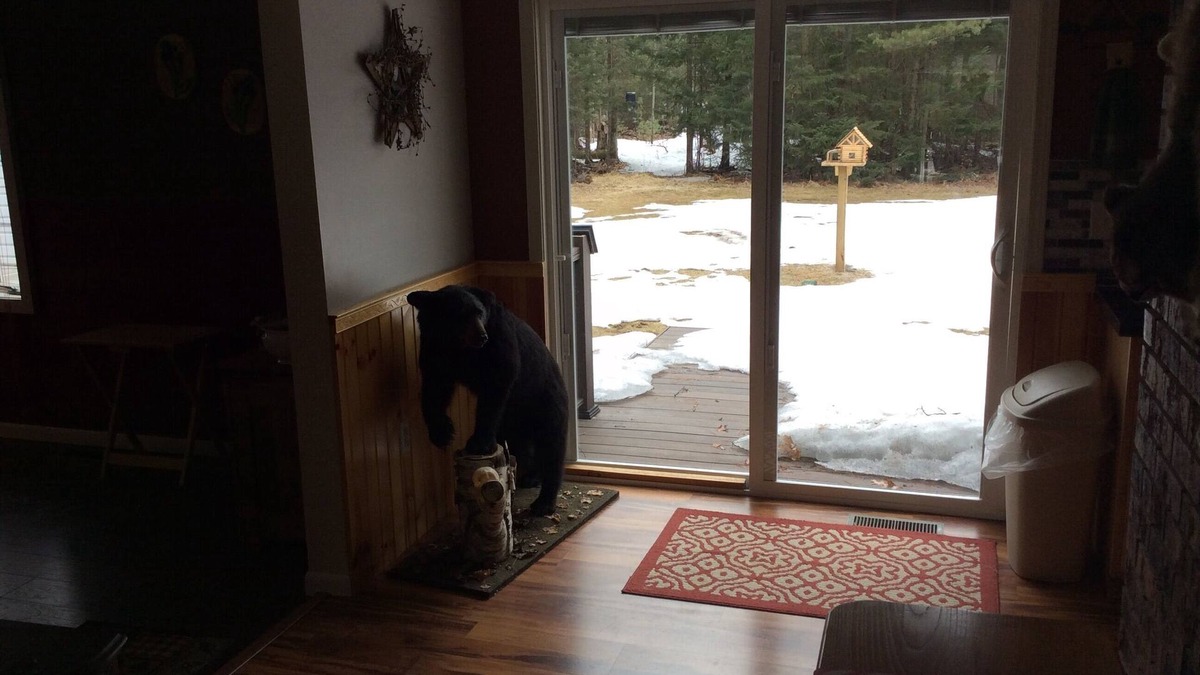 Kalkaska Villa | Bear Lake get away near Kalaskla MI