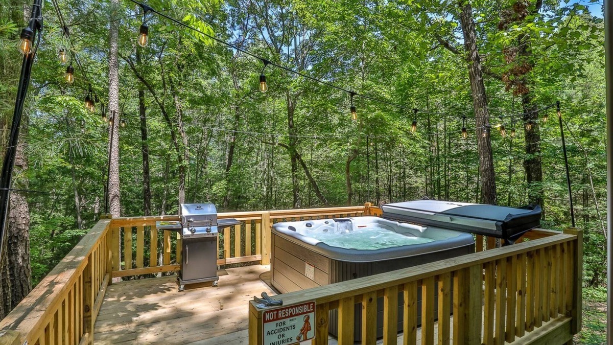 Ellijay Cabin | Bear Necessities | Ellijay, GA