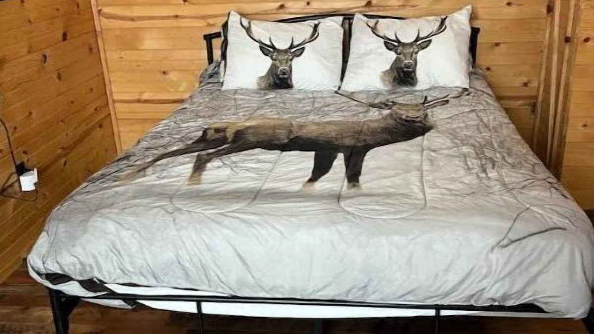 Antlers Cabin | Beau’s Place