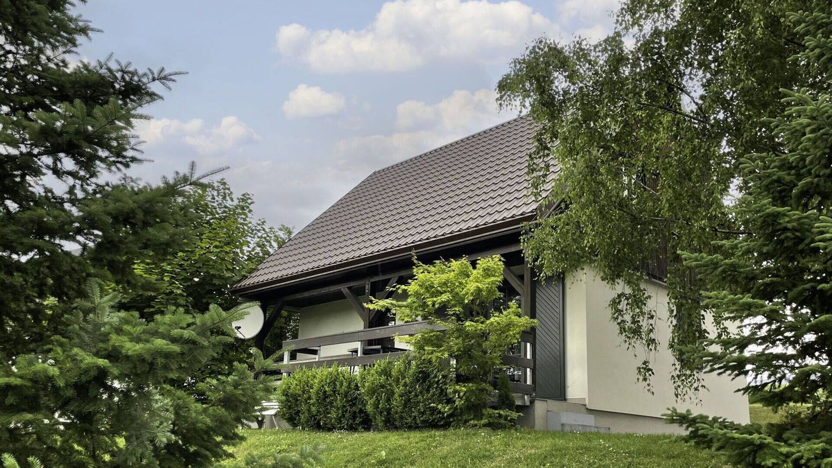 Rudnik u Vrchlabi House | Beautiful private villa for 6 people with pool, WIFI, TV, terrace, pets allowed and parking