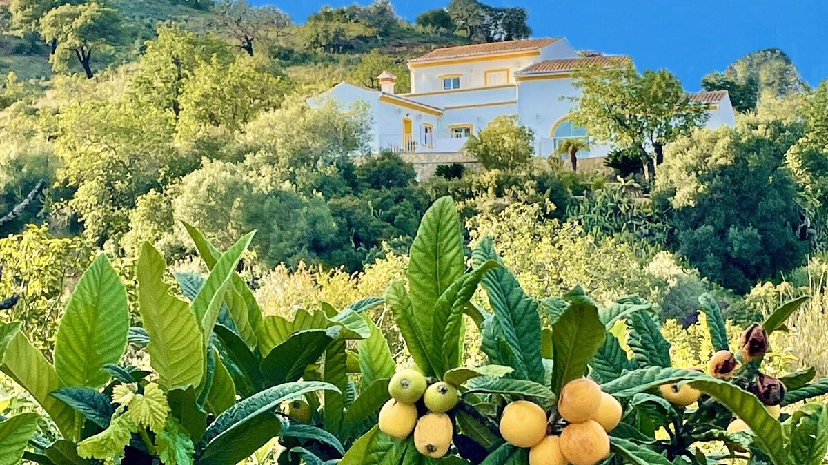 Santa Catarina da Fonte do Bispo Villa | Beautiful 3 bed Family Villa W/Pool, Tranquil Rural nr village .