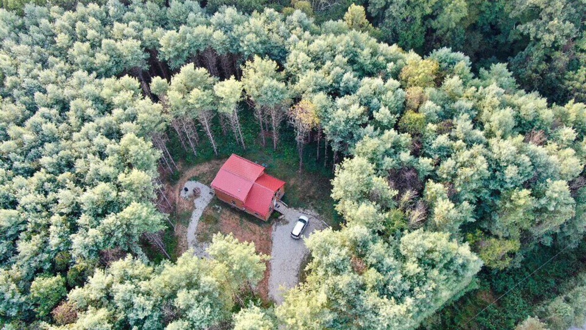 Sharpsburg Cabin | Beautiful 3 Bedroom cabin in the Pines