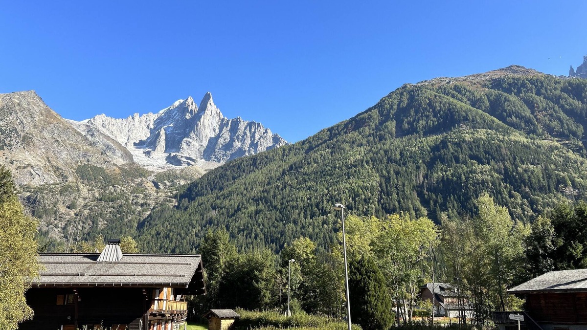 Les Praz-de-Chamonix Apartment | BEAUTIFUL 3 BEDROOMS APARTMENT WITH STUNNING VIEWS n