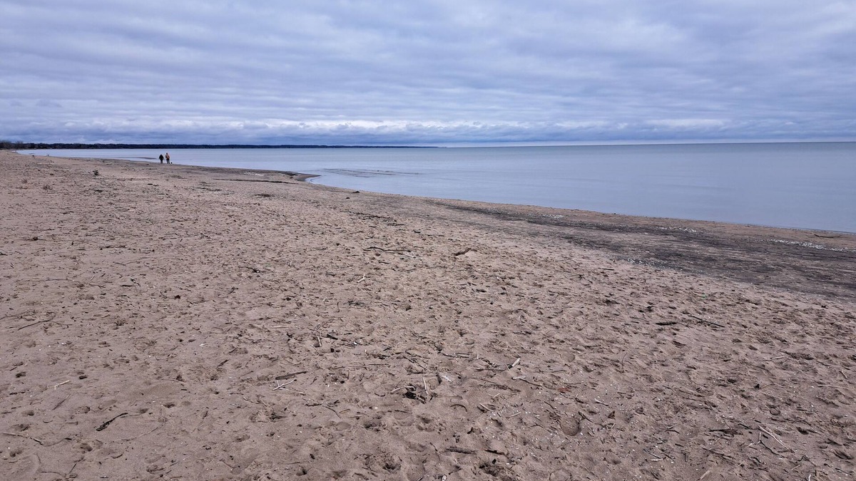 Harwich Cottage | Beautiful 4 season Cottage in Rondeau. 2 minutes to Beach or Provincial Park.