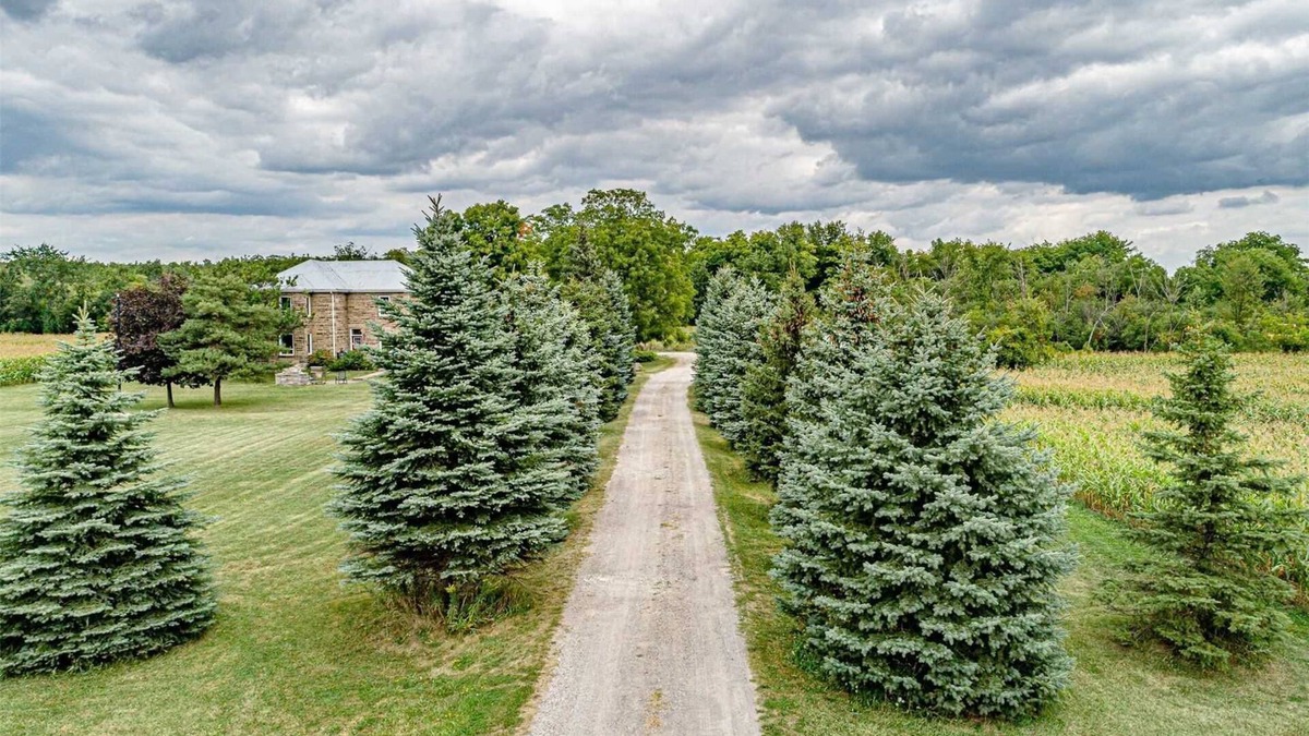 Georgetown Cabin | Beautiful 5-Bedroom Estate With Full Privacy