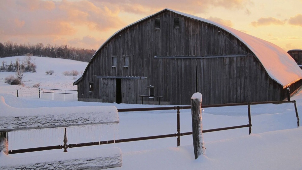 Chatham House | Beautiful 6+ Bedroom Farmhouse On 460 Acre Working Farm