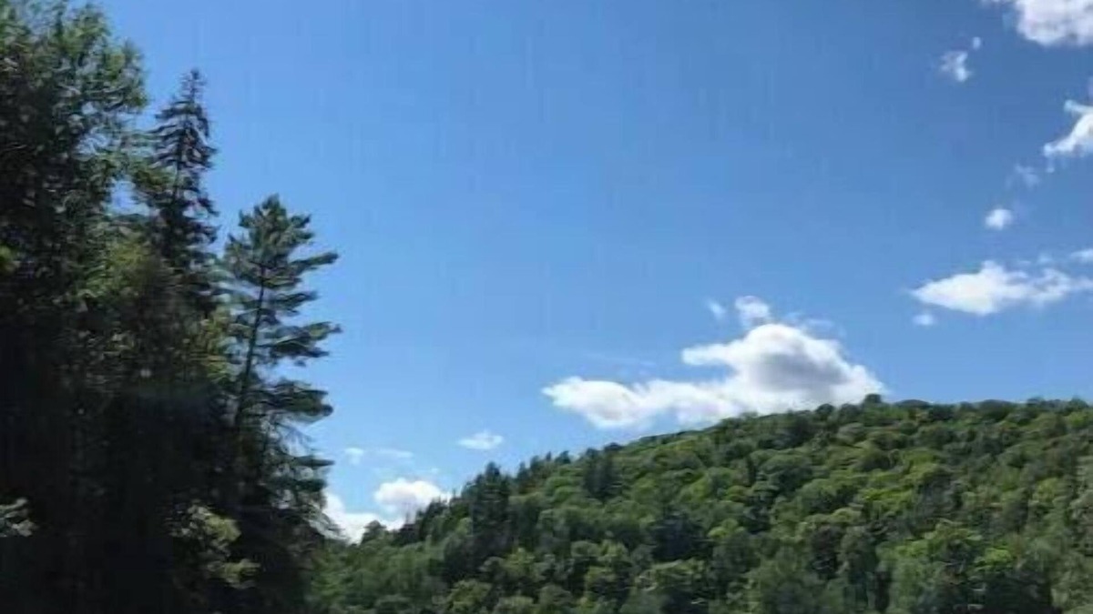 Hastings Highlands Cottage | Beautiful Algonquin Lakefront Cottage Experience