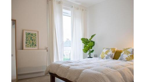 Hackney Downs Apartment | Beautiful and Cosy 1 Bed Flat in Stoke Newington