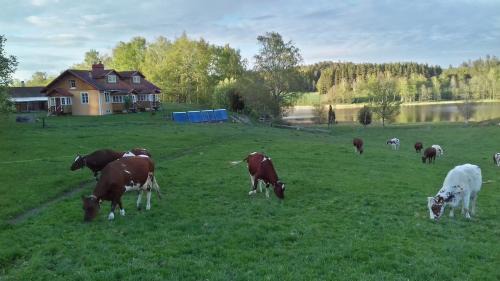 Nykoping Municipality House | Beautiful and peaceful in earth house, 90 m2