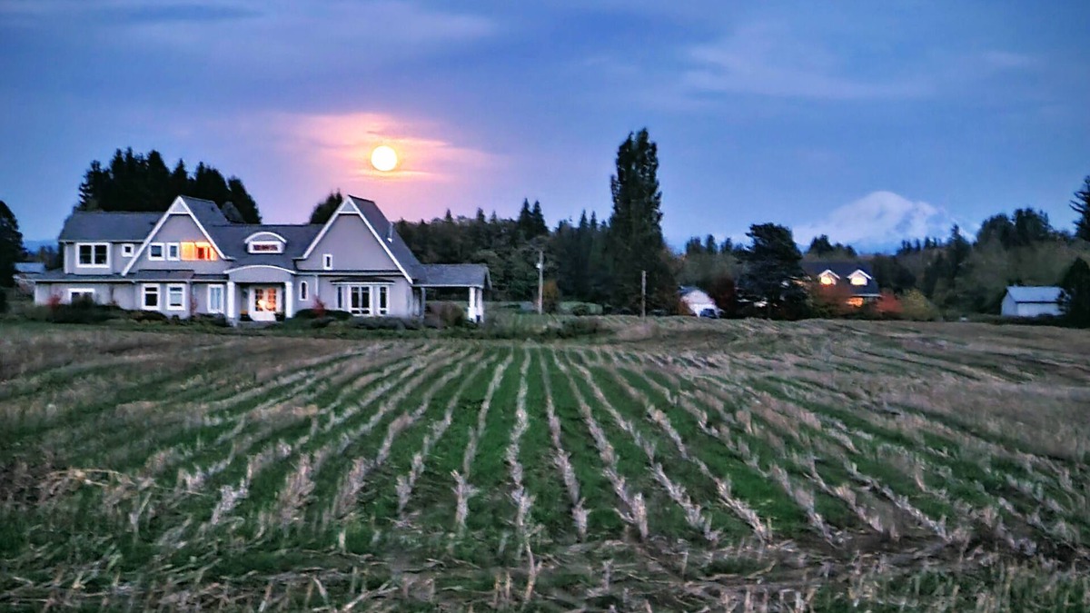 Ferndale House | Beautiful and spacious family home with WiFi, AC and Mt. Baker views