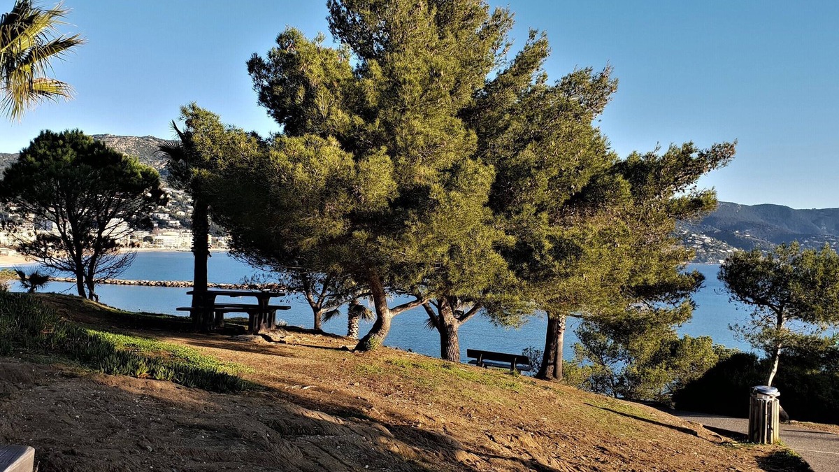 Bormes-Les-Mimosas Apartment | Beautiful apartment with reversible air-conditioning