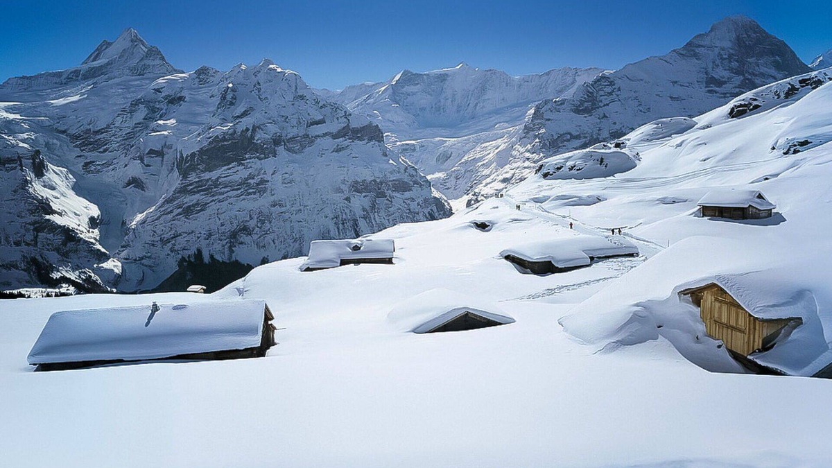 Grindelwald Apartment | Beautiful apartment for 2 guests with WIFI and TV