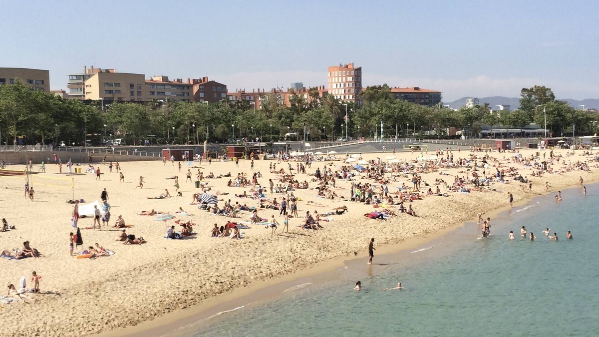 La Vila Olimpica del Poblenou Apartment | Beautiful apartment in Barcelona beach