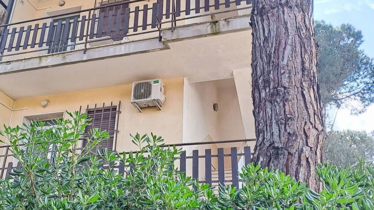 Rosapineta Apartment | Beautiful apartment for 5 guests with A/C, terrace, pets allowed and parking