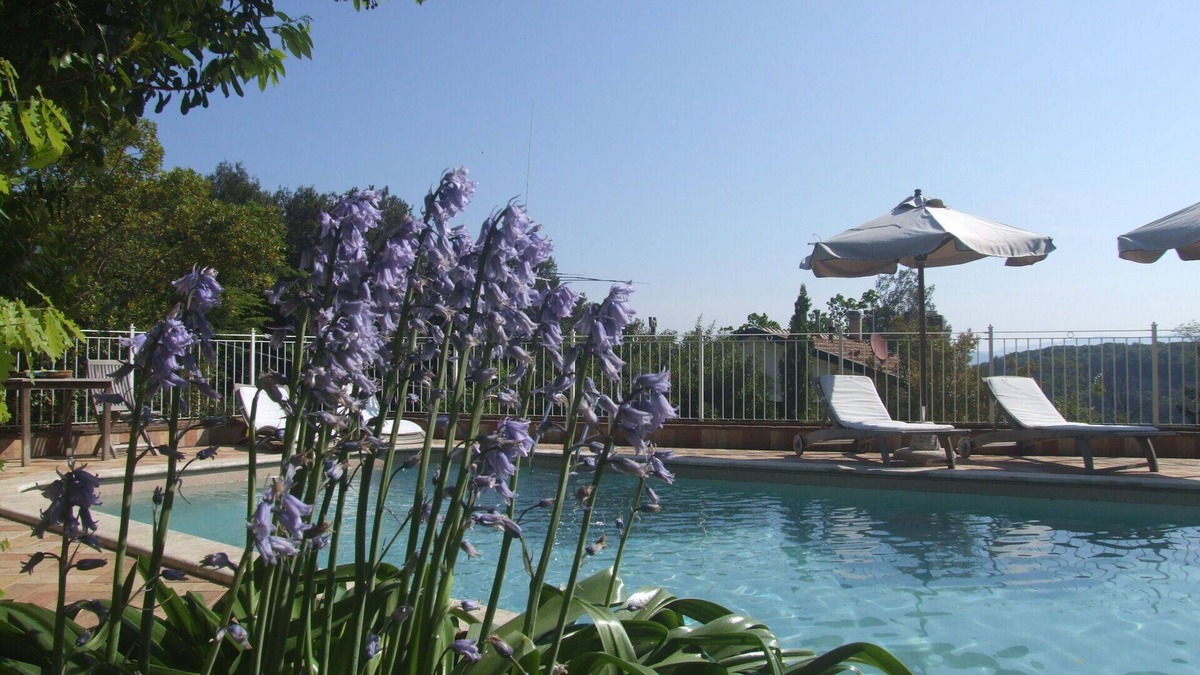Sassetta Apartment | Beautiful apartment for 4 people with pool, WIFI, TV, patio and parking