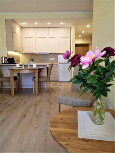 Birstonas Apartment | Beautiful Apartment in the heart of Birstonas