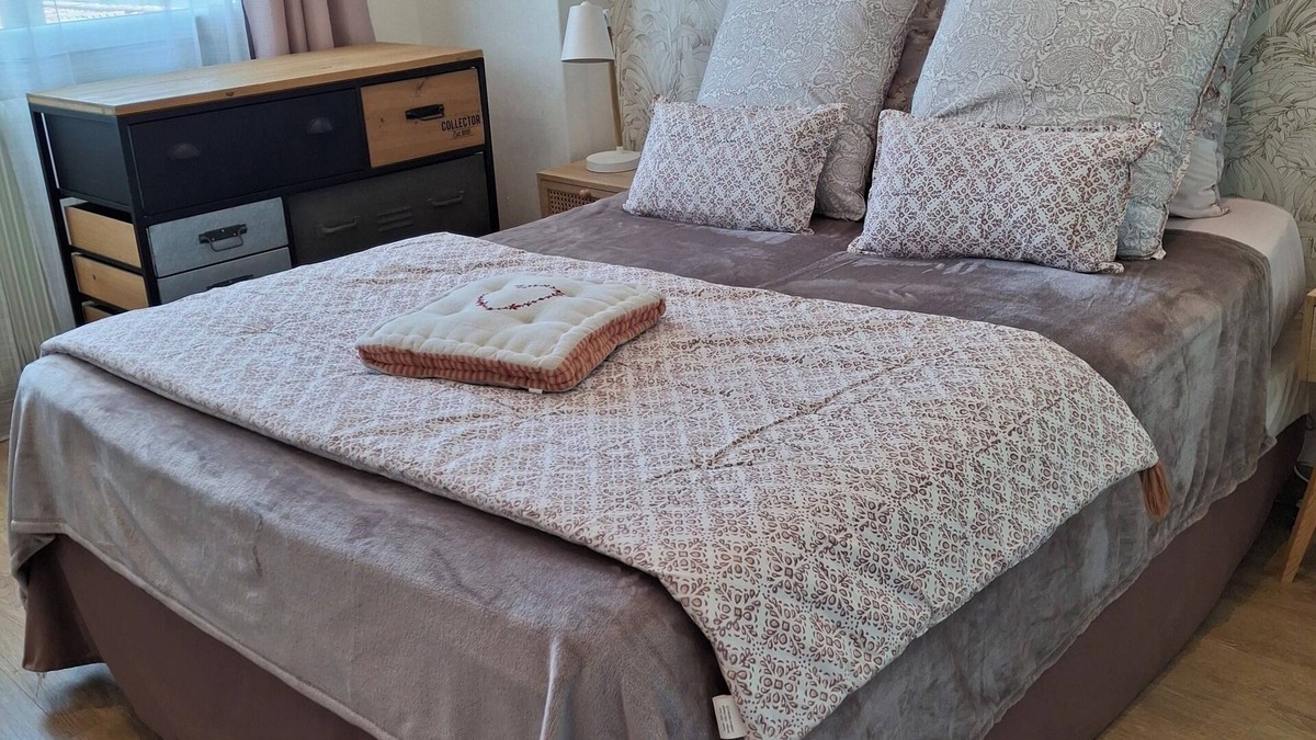Cadereau Apartment | Beautiful apartment in the center of Nîmes, 2 minutes from the Jardins de la Fontaine