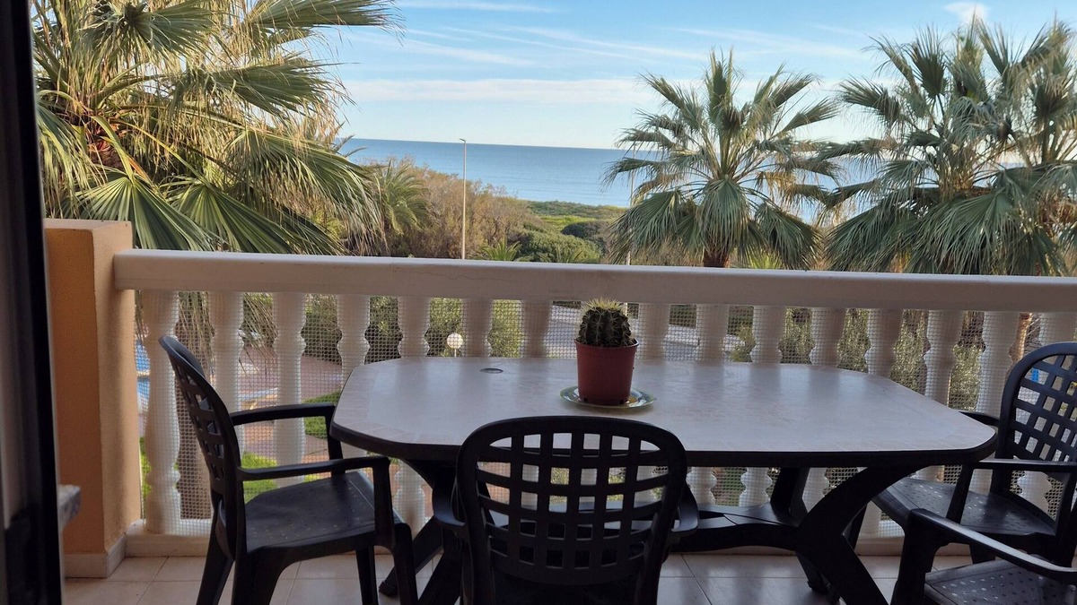 Platja de Piles Apartment | Beautiful apartment Lilou in 1st line sea view, swimming pool and palm trees