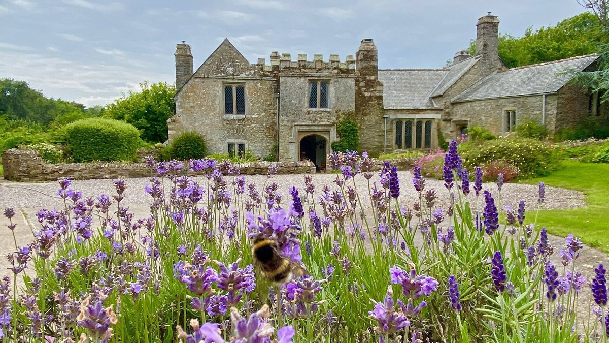 Newton Ferrers Apartment | Beautiful apartment within Grade 1 listed Manor House