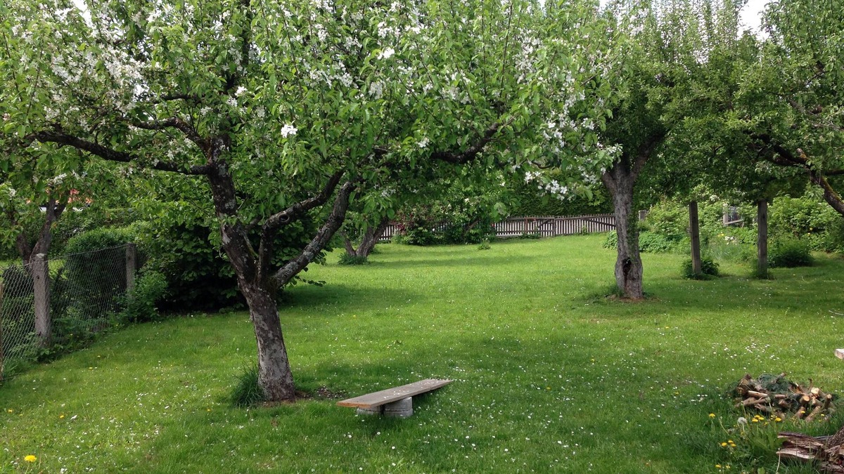 Bergheim Apartment | Beautiful attic apartment, close to nature & close to the city (western forests)