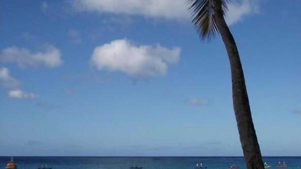 Spring Garden Apartment | Beautiful Barbados Property On the Beach. No Driving, No Packing Up.