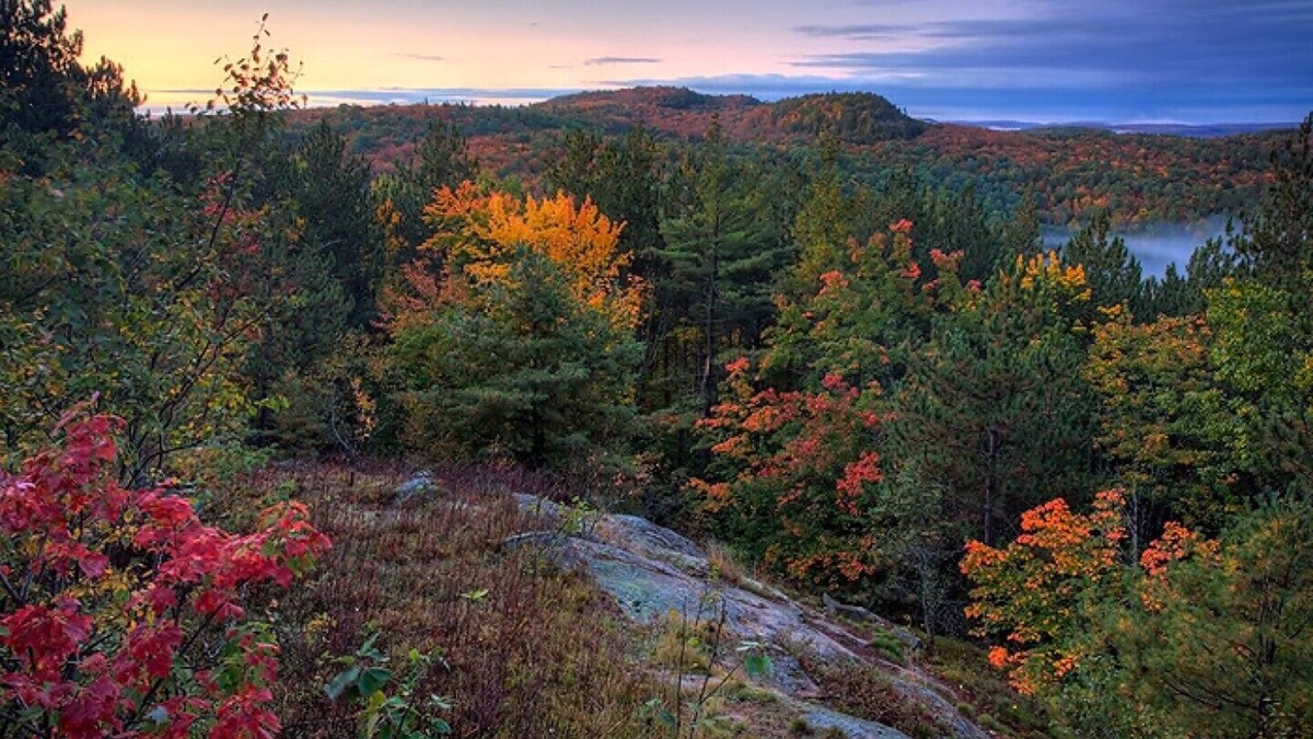 Nobel Cottage | Beautiful Bay in the township of Parry Sound/Nobel